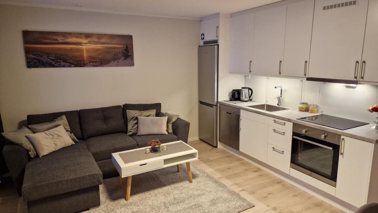 Haugetuft Apartments Amot  Екстер'єр фото